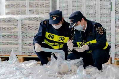 新修訂《進(jìn)出口食品安全管理辦法》即將施行 進(jìn)口更安全，出口更通暢